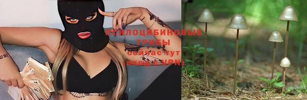 шишки Армянск