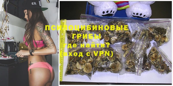 бошки Алексин