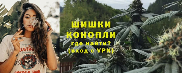 шишки Армянск