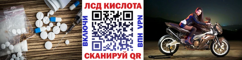 блэк спрут онион  купить   Зверево  Лсд 25 экстази кислота 